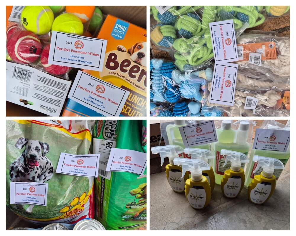 Greyhound Welfare